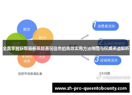 全面掌握获取最新英超赛况信息的高效实用方法指南与权威渠道解析