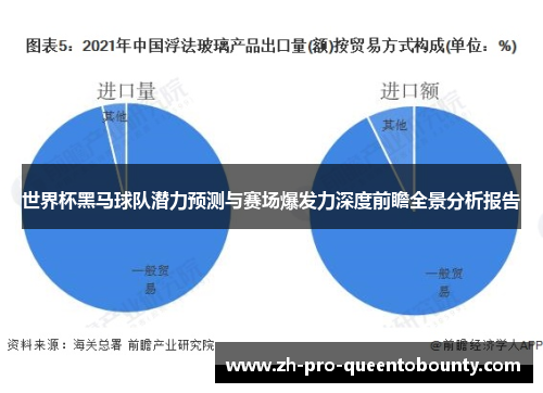 世界杯黑马球队潜力预测与赛场爆发力深度前瞻全景分析报告